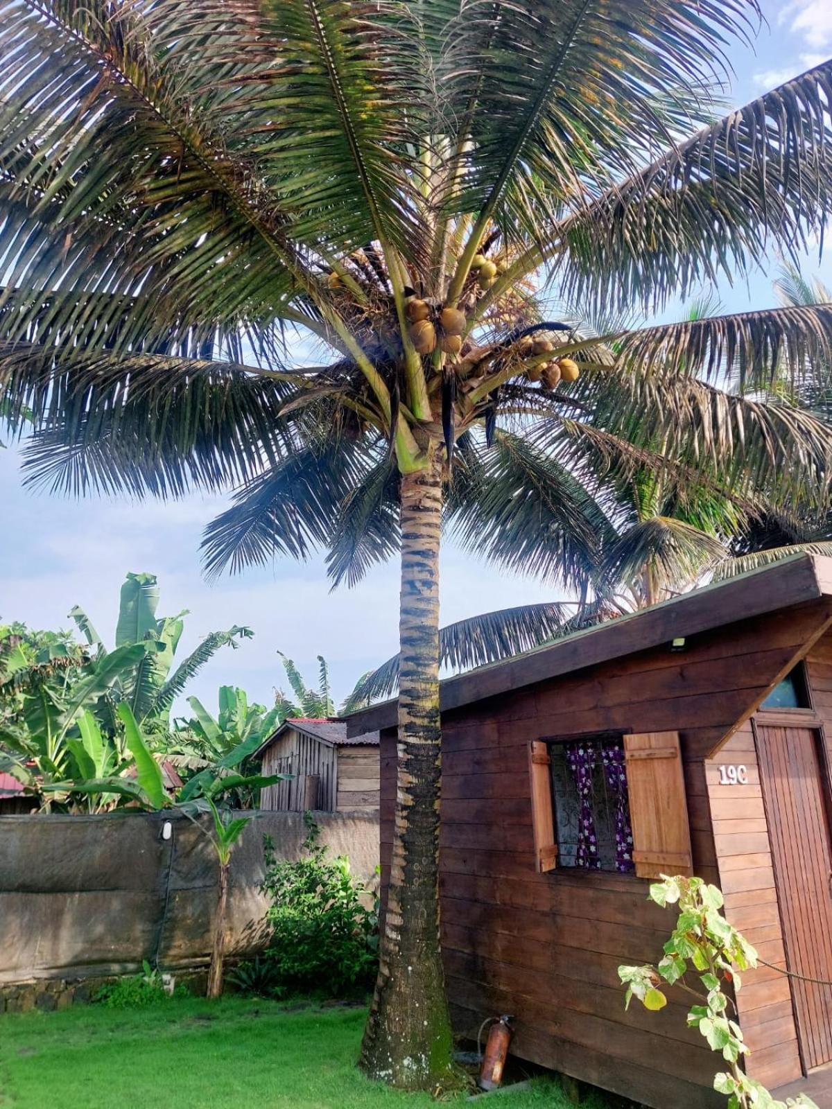 Villa Gente D'Aqui Nge D'Ai Ee Sao Tome Exterior foto