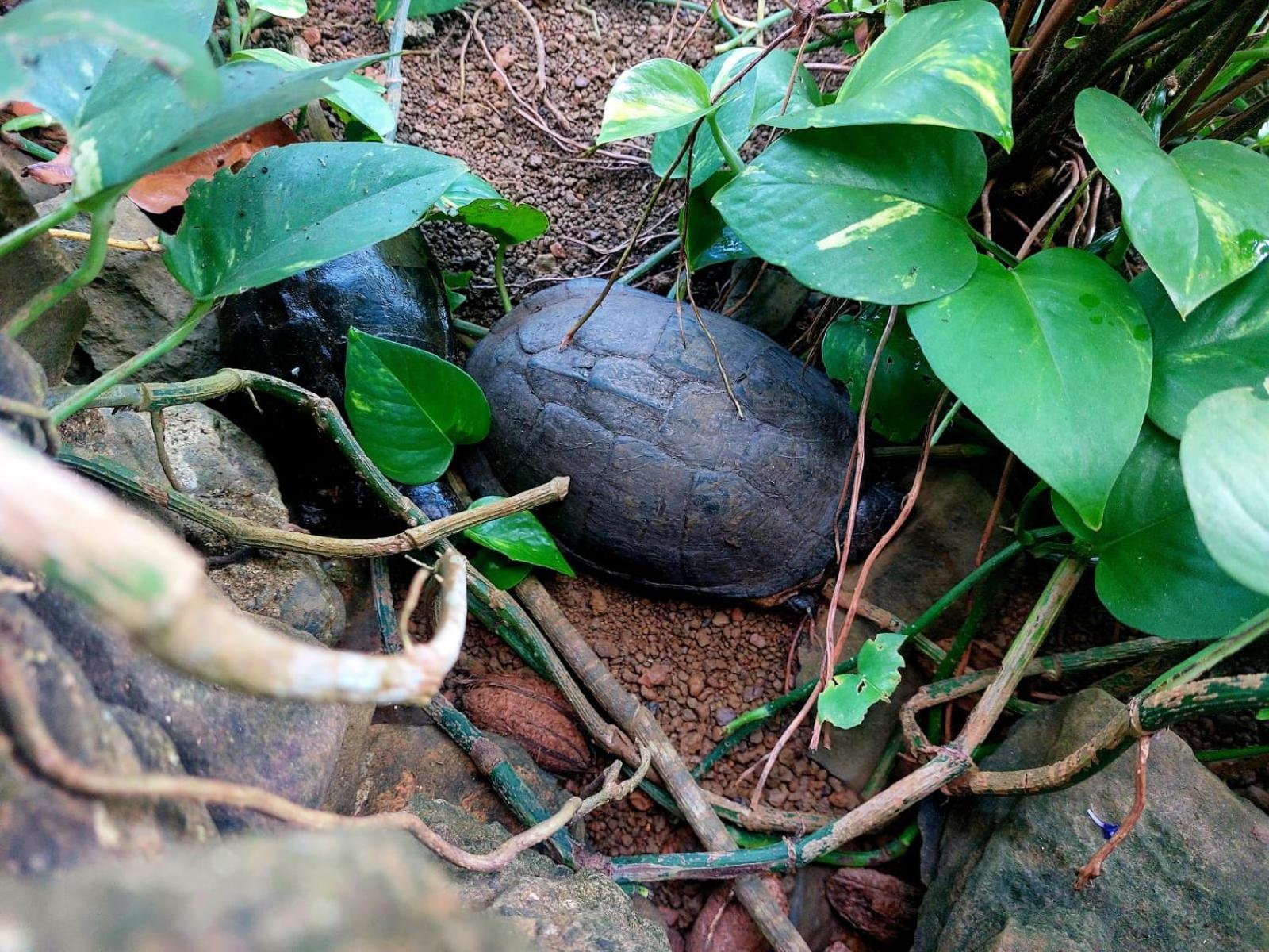 Villa Gente D'Aqui Nge D'Ai Ee Sao Tome Exterior foto